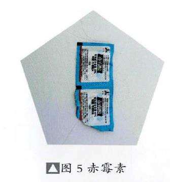 图解 石榴盆景怎么挂果的5个技术