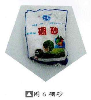 图解 石榴盆景怎么挂果的5个技术