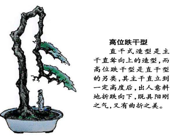 图解 怎么制作回头式盆景的的5个方法