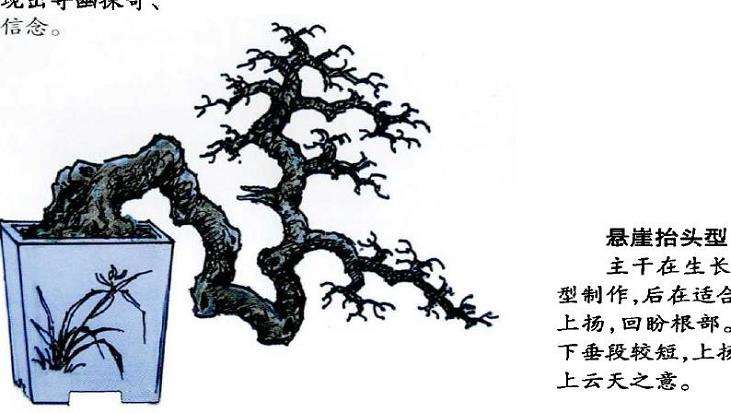 图解 怎么制作回头式盆景的的5个方法