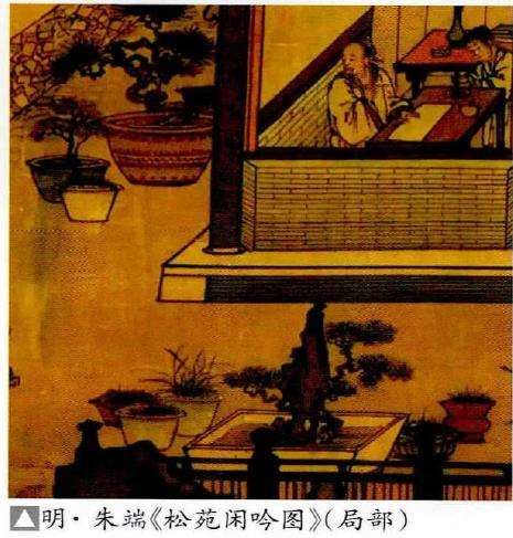 元明时期的松树盆景 图片