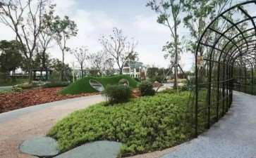 城市园林植物怎么造景的4个原则