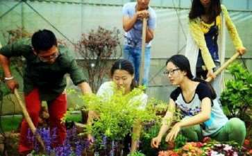 园艺职业教学改革的5个成效