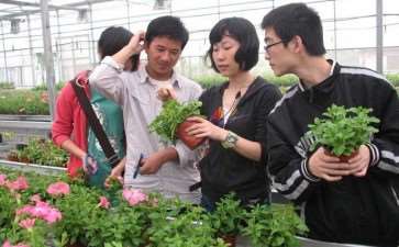 园艺职业怎么教学改革的5个探索