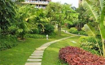 反季节种植技术在园林绿化施工中的应用