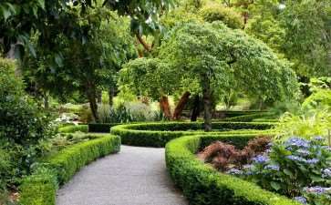 反季节 城市园林怎么种植的5给个技术