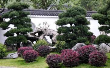 反季节 园林绿化种植的4个原则