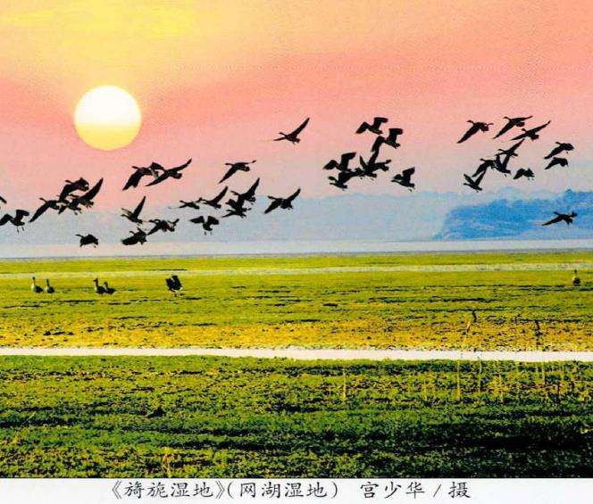 黄石网湖湿地自然保护区