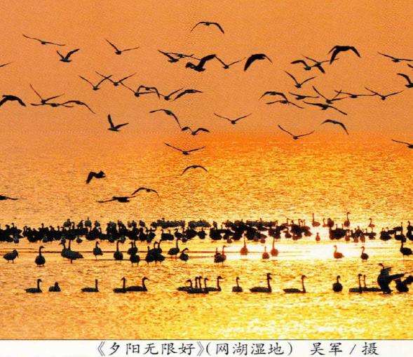 黄石网湖湿地自然保护区