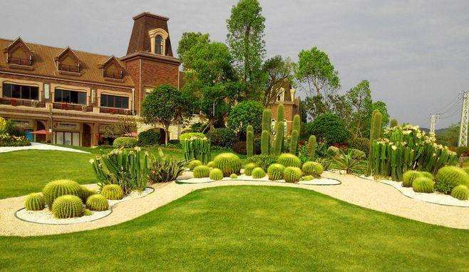 高校校园绿化景观与植物配置的4个策略