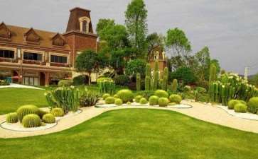 高校校园绿化景观与植物配置的4个策略