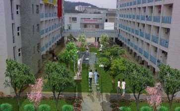 高校校园绿化树种选择与配置的3个原则