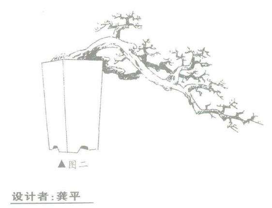 图解 山楂盆景怎么悬崖造型的3个方法