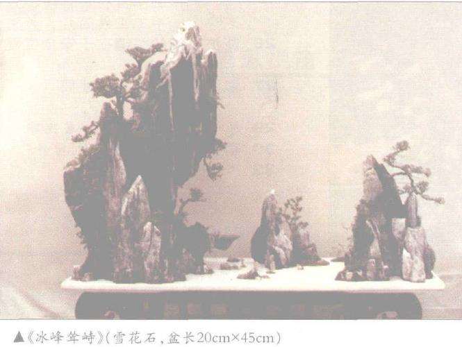 靖江盆景艺术家协会常务理事 盛定武