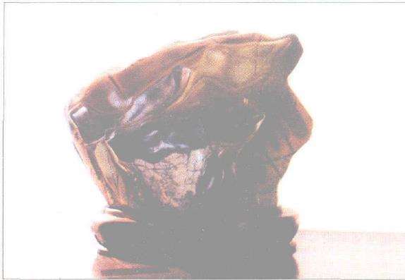 雅石怎么赏玩的8点看法 图片