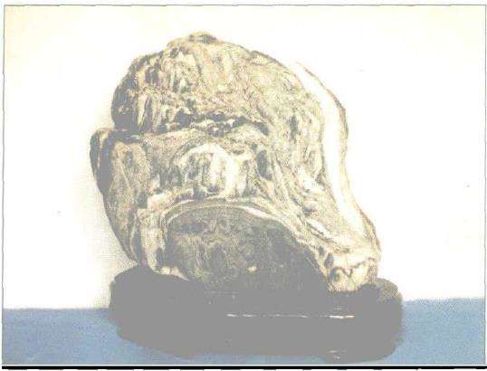 雅石怎么赏玩的8点看法 图片3