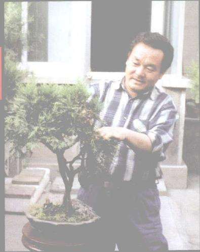 精通制作泰山盆景的人 范义成 图片