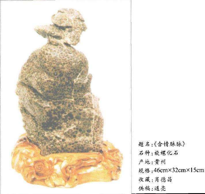 以石为师 以石为友 爱石当求实2