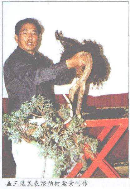 2002 陕西首届盆景艺术全国邀请展