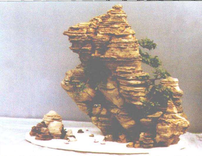 中国盆景系统分类法的6个分类方法