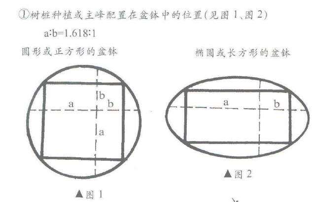 图解 盆景制作怎么黄金分割比的5个方法