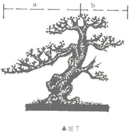 图解 盆景制作怎么黄金分割比的5个方法