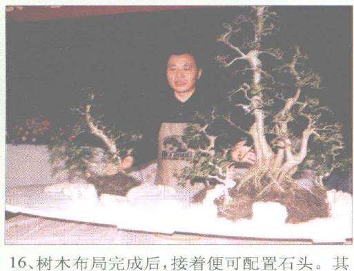 图解 赵庆泉怎么制作水旱盆景的过程