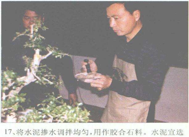 图解 赵庆泉怎么制作水旱盆景的过程