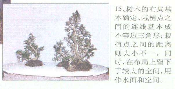 图解 赵庆泉怎么制作水旱盆景的过程