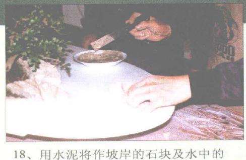 图解 赵庆泉怎么制作水旱盆景的过程
