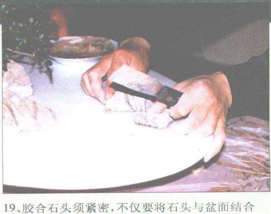 图解 赵庆泉怎么制作水旱盆景的过程