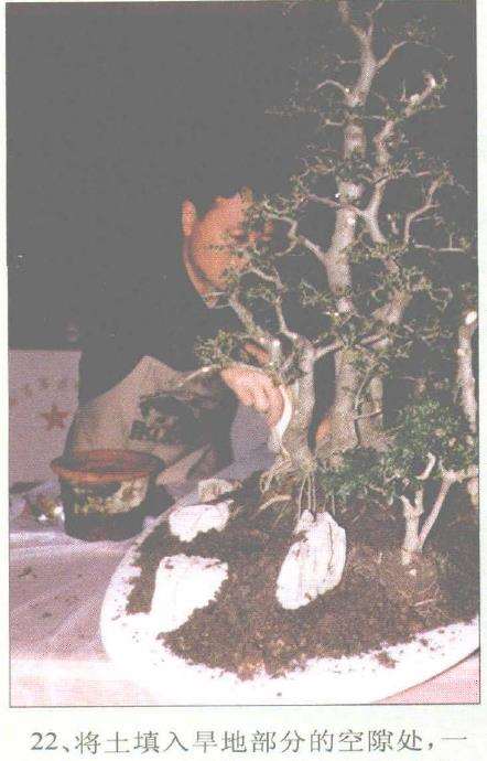 图解 赵庆泉怎么制作水旱盆景的过程