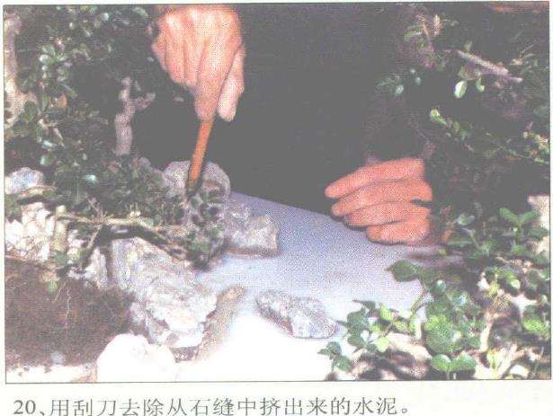 图解 赵庆泉怎么制作水旱盆景的过程