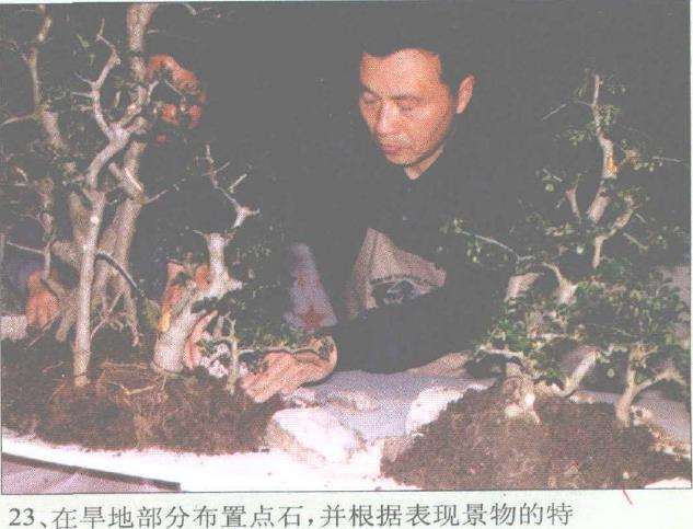 图解 赵庆泉怎么制作水旱盆景的过程