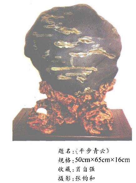 奇石藏品已进入流通领域 走向商品化2