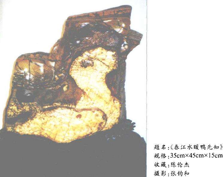 随着赏石文化的普及2