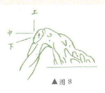 图解 对盆景悬崖式怎么枝托定位的方法