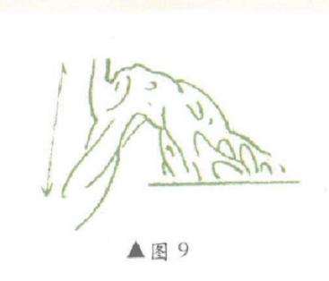 图解 对盆景悬崖式怎么枝托定位的方法