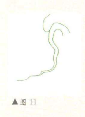 图解 对盆景悬崖式怎么枝托定位的方法