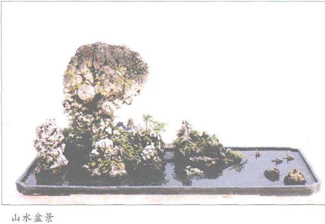 刘荣森先生于盆景创作无所不及