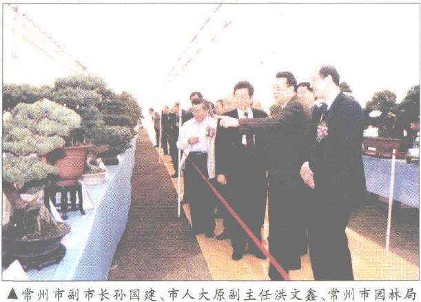 2002 常州盆景精品交流展
