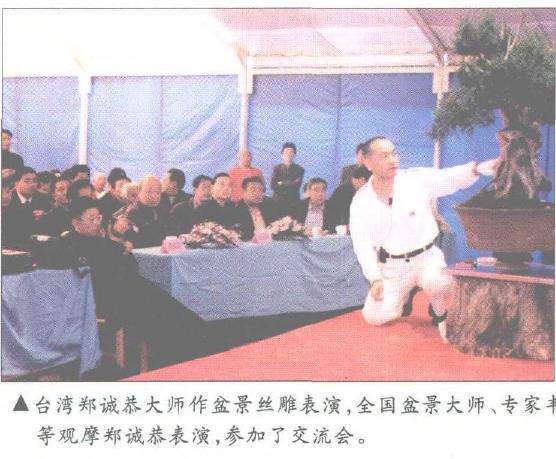 2002 常州盆景精品交流展