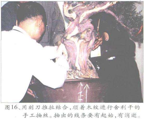 图解 郑诚恭怎么丝雕柏树盆景的25个步骤