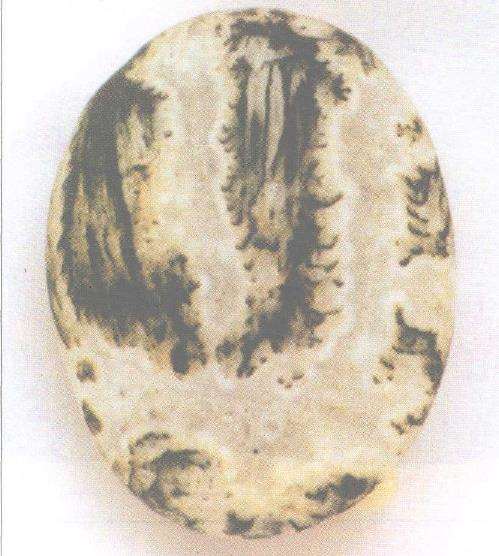 为什么外界对泸州雨花石可渭知之甚少