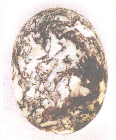 为什么外界对泸州雨花石可渭知之甚少2