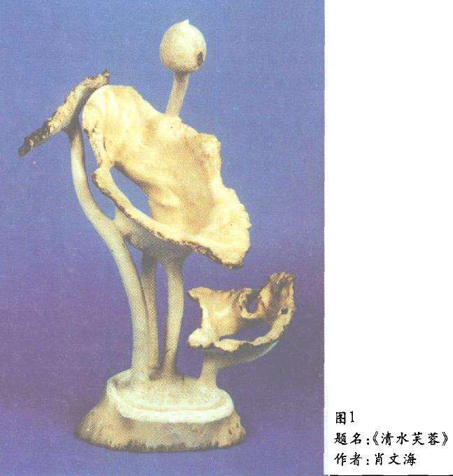枫树根艺的3个艺术特色是什么3