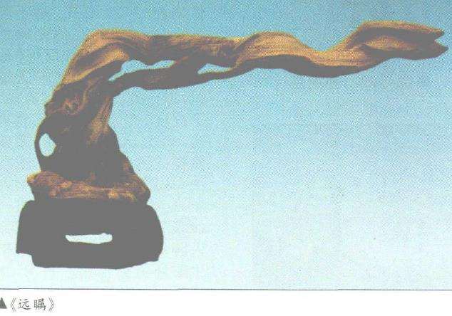 现代根艺创作中 根的本体意识是什么3