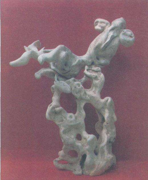 为什么对节白蜡是稀有的盆景珍材