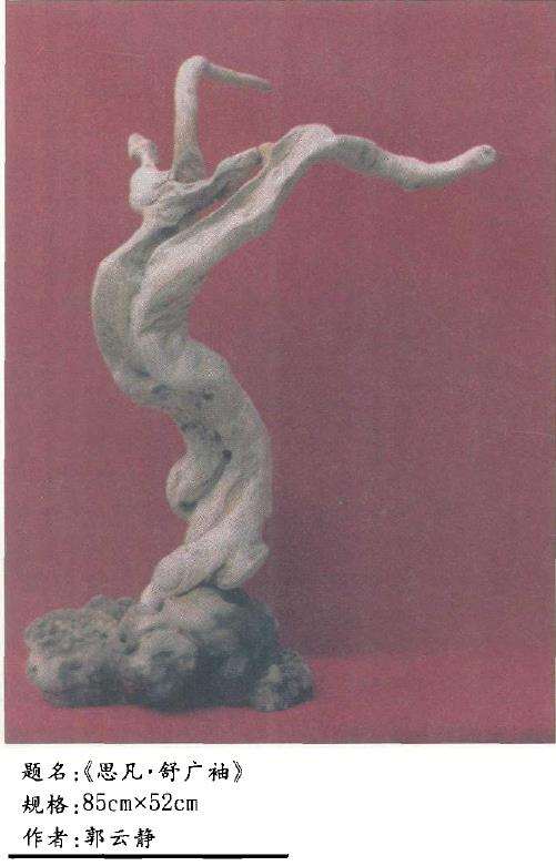 为什么对节白蜡是稀有的盆景珍材