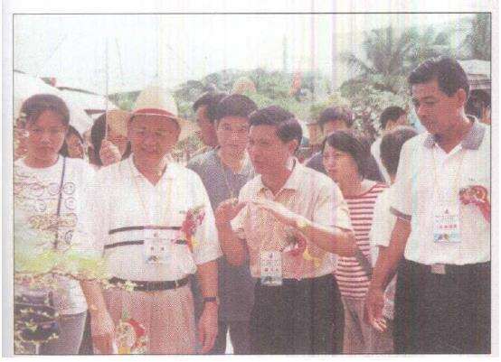 海南省奥林匹克杯第二届盆景评比展览